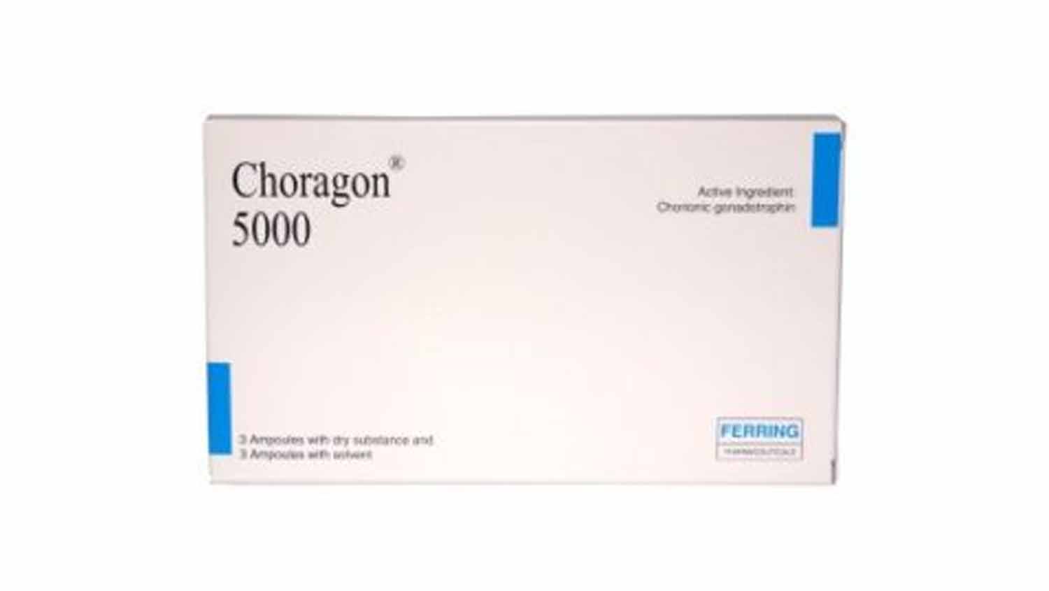 Choragon
