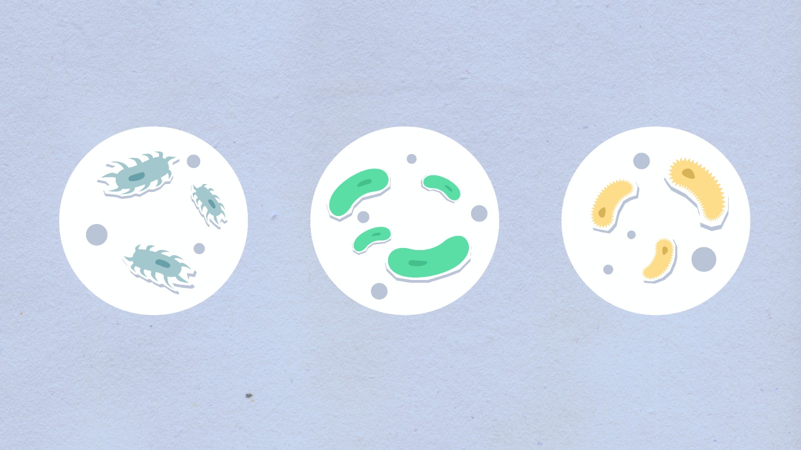 Sorun Sadece Antibiyotik Mi?