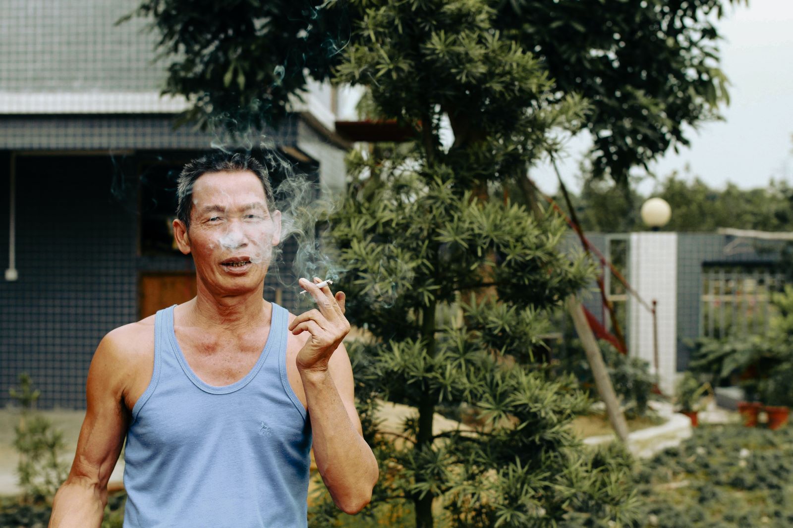 Sigara Paketleri Resimleniyor