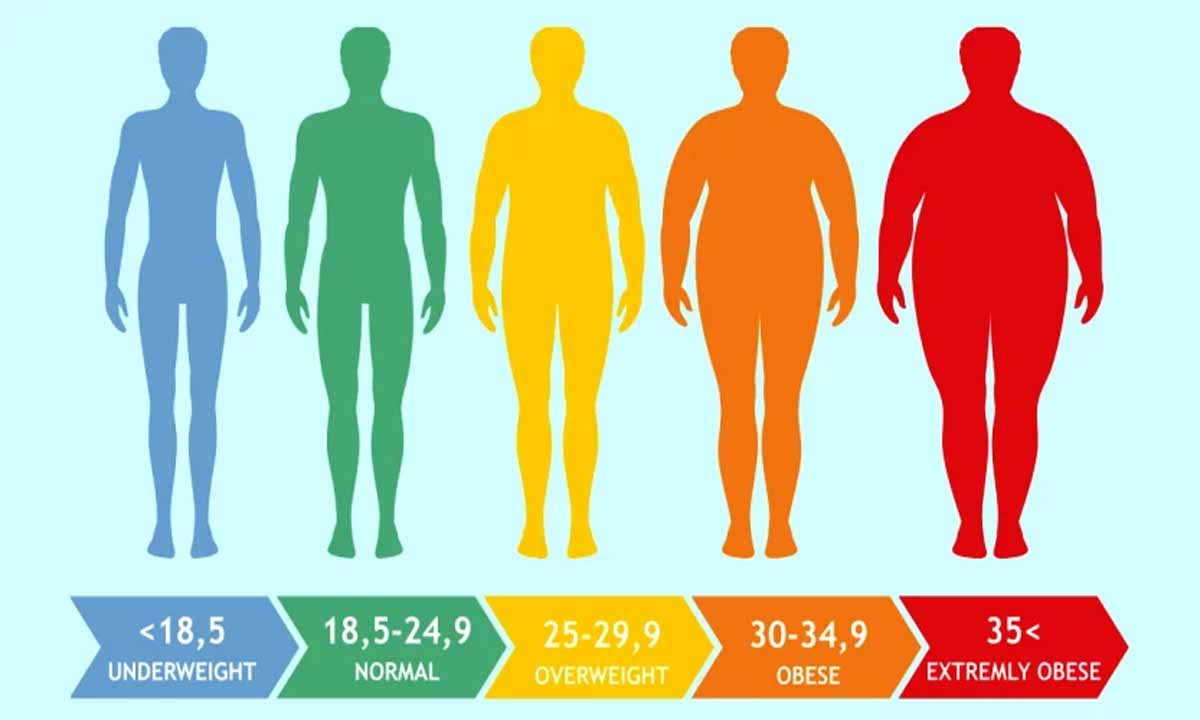 Vücut Kitle İndeksi