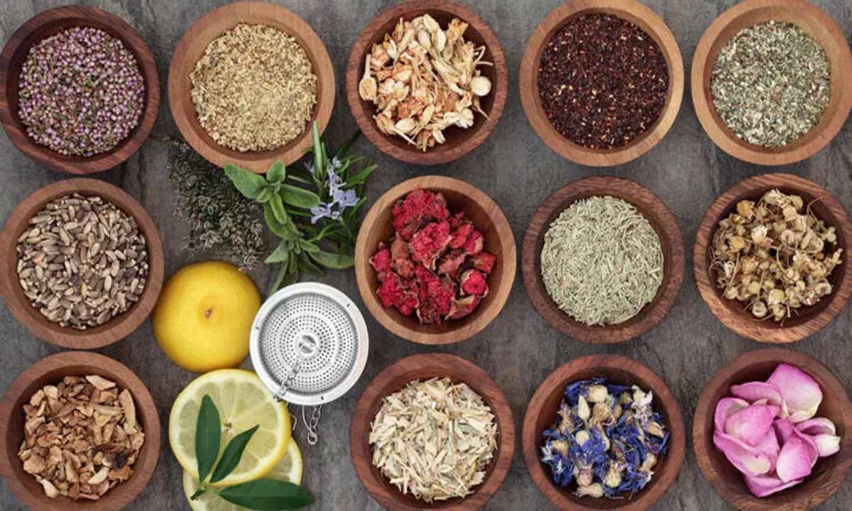 Hangi Bitki Neye İyi Gelir