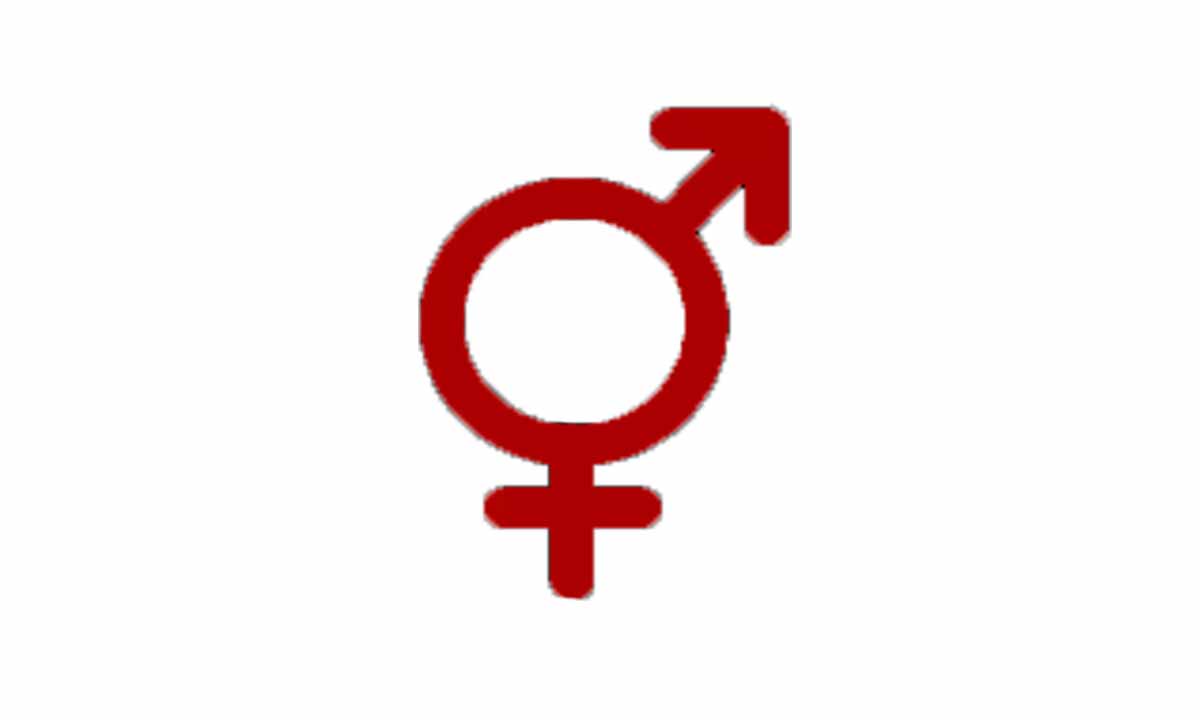 Çift Cinsiyetlilik (Psödohermafroditizm)