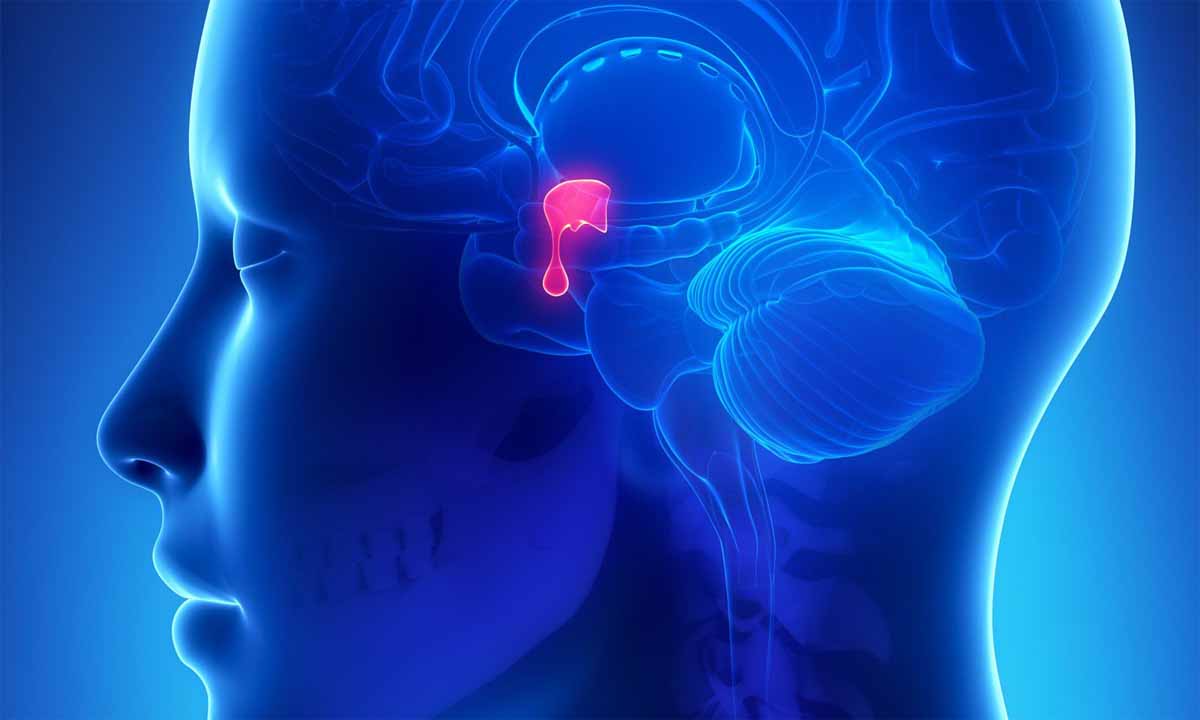 Dıabetes Insıpıdus (Şekersiz Diyabet)