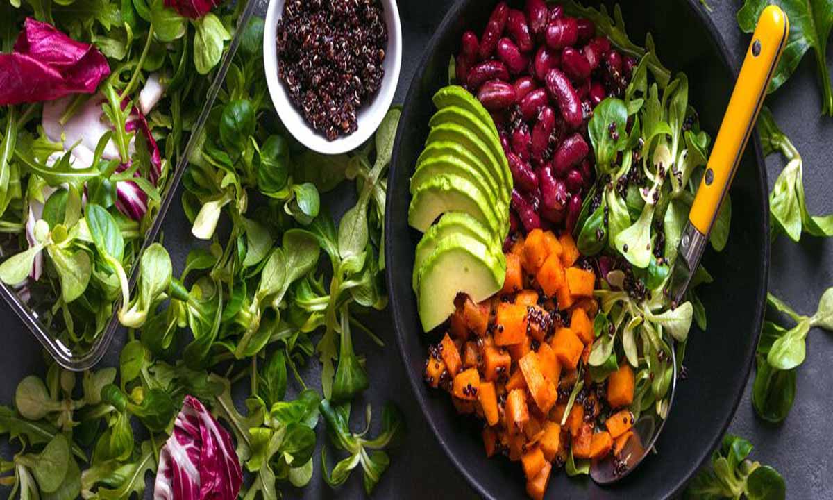 Vejetaryen Diyetleri