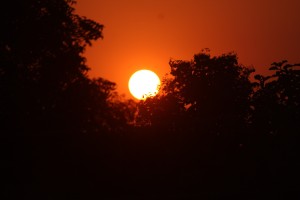 Güneş Lekelerinizden Kurtulun