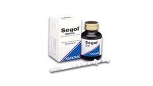 Segol