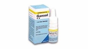 Gansol