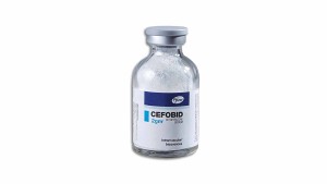 Cefobid