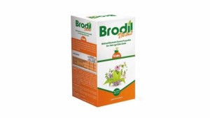 Brodil