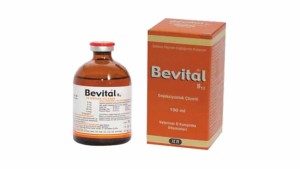 Bevitol
