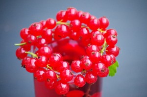 Böbreğe Dost Meyve Yurtdışına Açılıyor