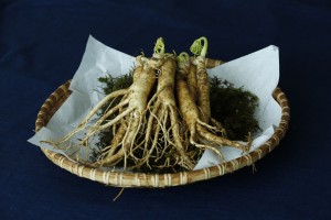 Enerjinizin Kaynağı Ginseng
