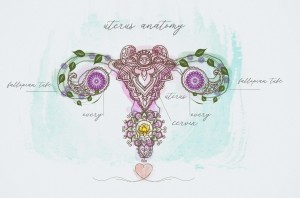 Kadın Üreme Organlarının Çalışması