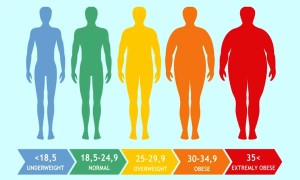 Vücut Kitle İndeksi