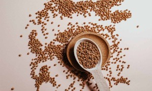 Karabuğday Gerçeği