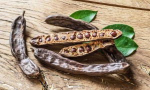 Soğuk Pres Keçiboynuzu Gerçeği