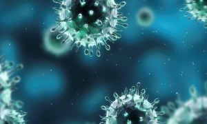 Virüs ve Bakterilerle Savaşırken Bitkilerden Yararlanın