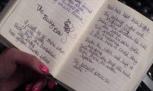 İngilizce Günlük Tutmak İsteyenler