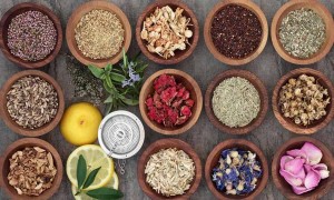 Hangi Bitki Neye İyi Gelir