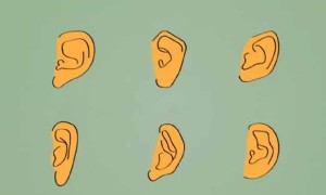 Kulak Büyüklüğü