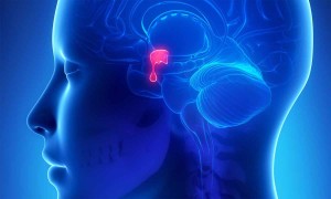 Dıabetes Insıpıdus (Şekersiz Diyabet)