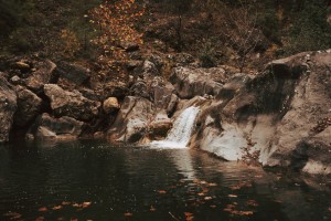 Böbrek Yetmezliğine Yol Açan 7 Neden