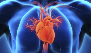 Kardiyovasküler Hastalık Riski Nedir?