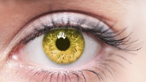 Sarı Nokta Hastalığı Nedir?