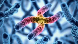 Gaucher Hastalığı Nedir?