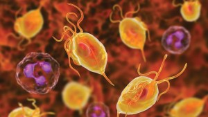 Trichomoniasis Nedir?